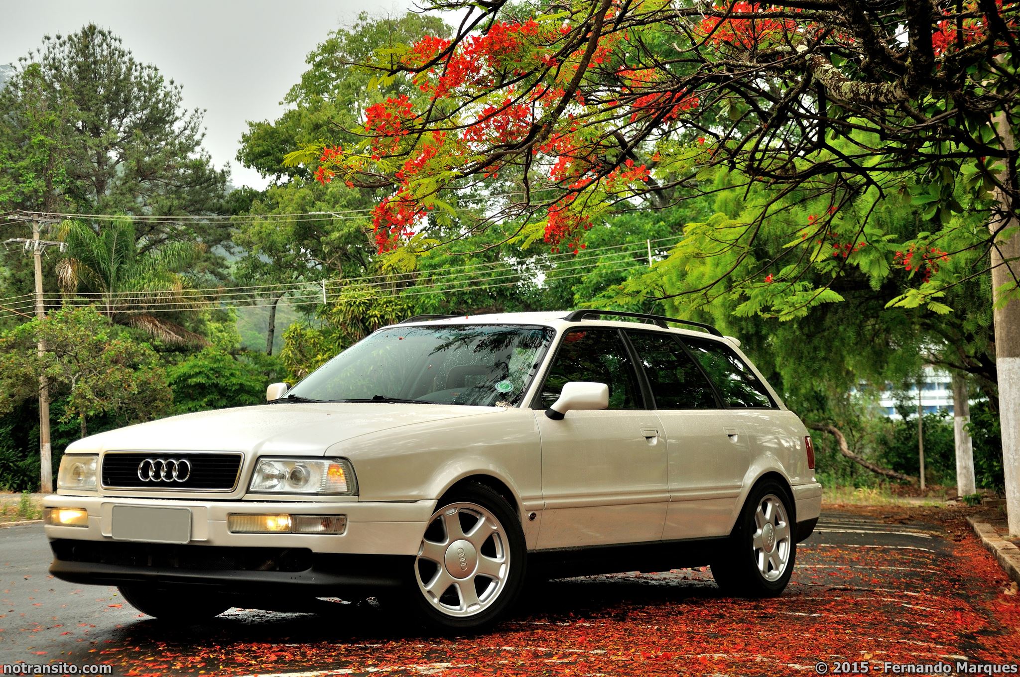 Audi 80 Avant Pearl White Metallic Tricoat, Águas de Lindóia